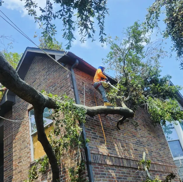 Crew member cutting a fallen tree limb off a brick house after a storm