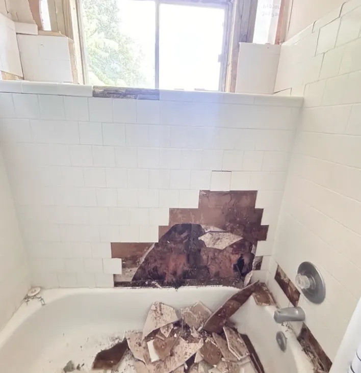 Water-damaged shower wall torn out down to the studs